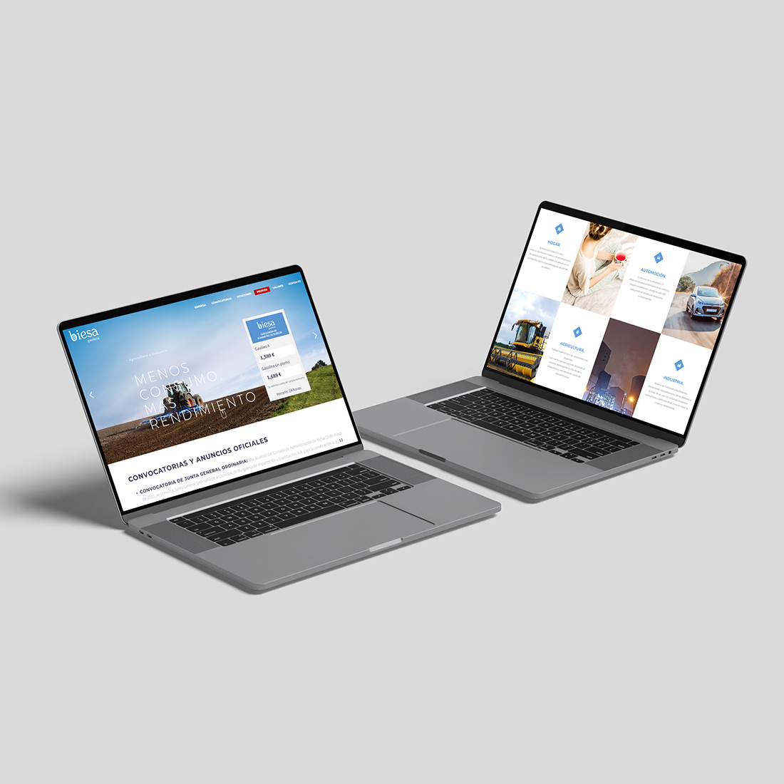 biesa-gasoleos-web1
