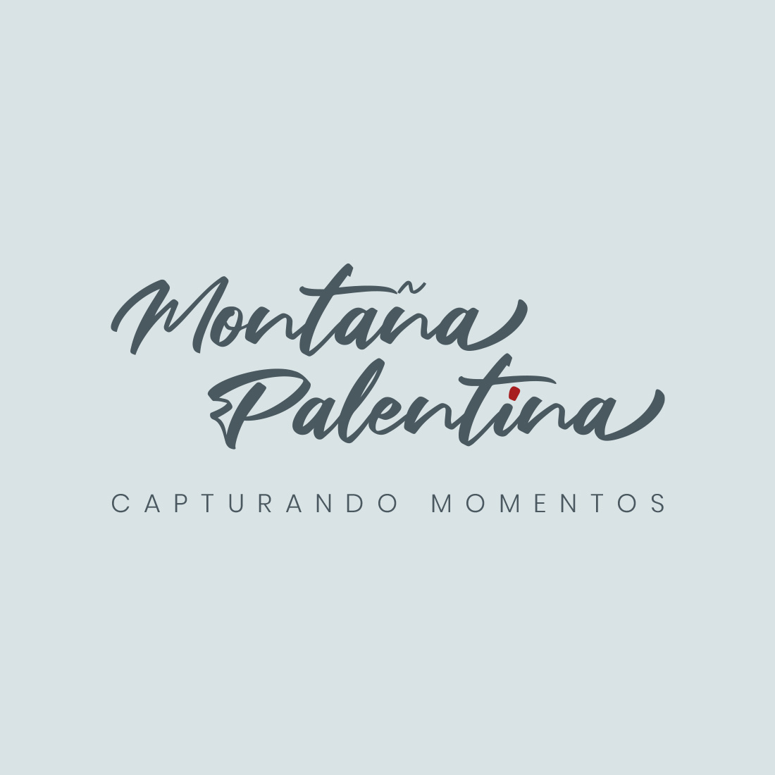 logotipo-montana-palentina-vertical
