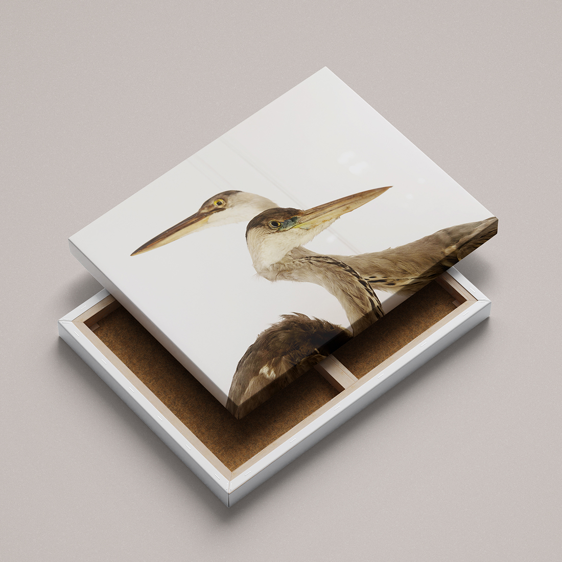 Caja de costura para regalar con fotografía del Museo Pedagógico de Ciencias Naturales de Valladolid