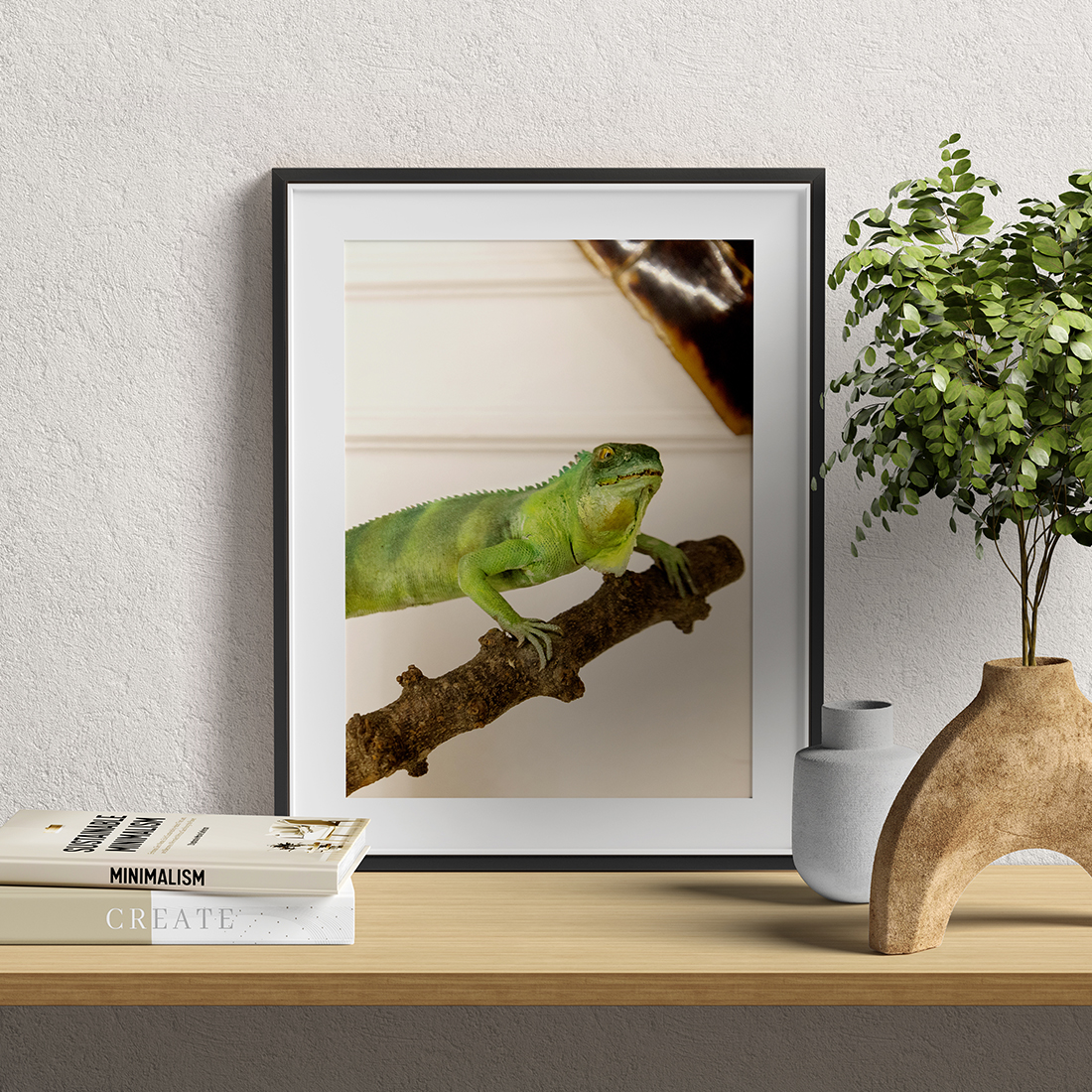 Cuadro para regalar con fotografía del Museo Pedagógico de Ciencias Naturales de Valladolid