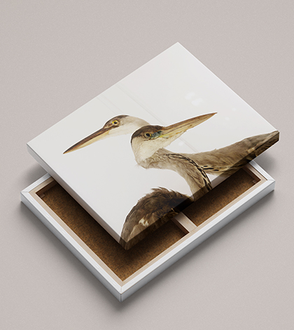 Marco para regalar con fotografía del Museo Pedagógico de Ciencias Naturales de Valladolid